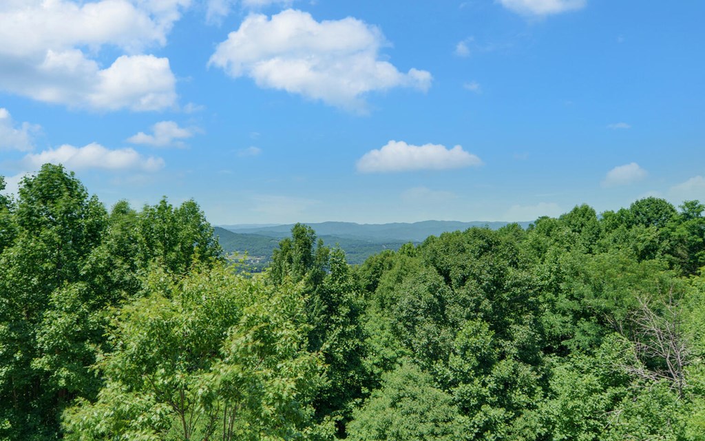 464 Sunset Drive Property Photo 56