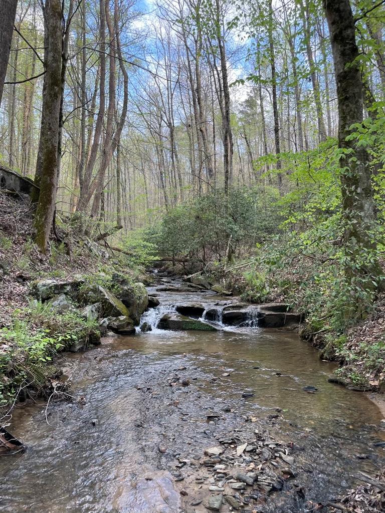 0000 Shady Grove Road Property Photo
