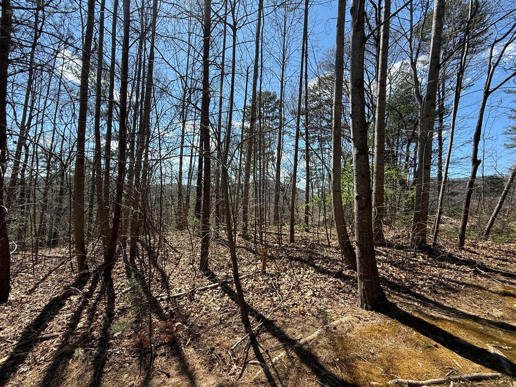 Lot 105 Lancelot Loop Property Photo