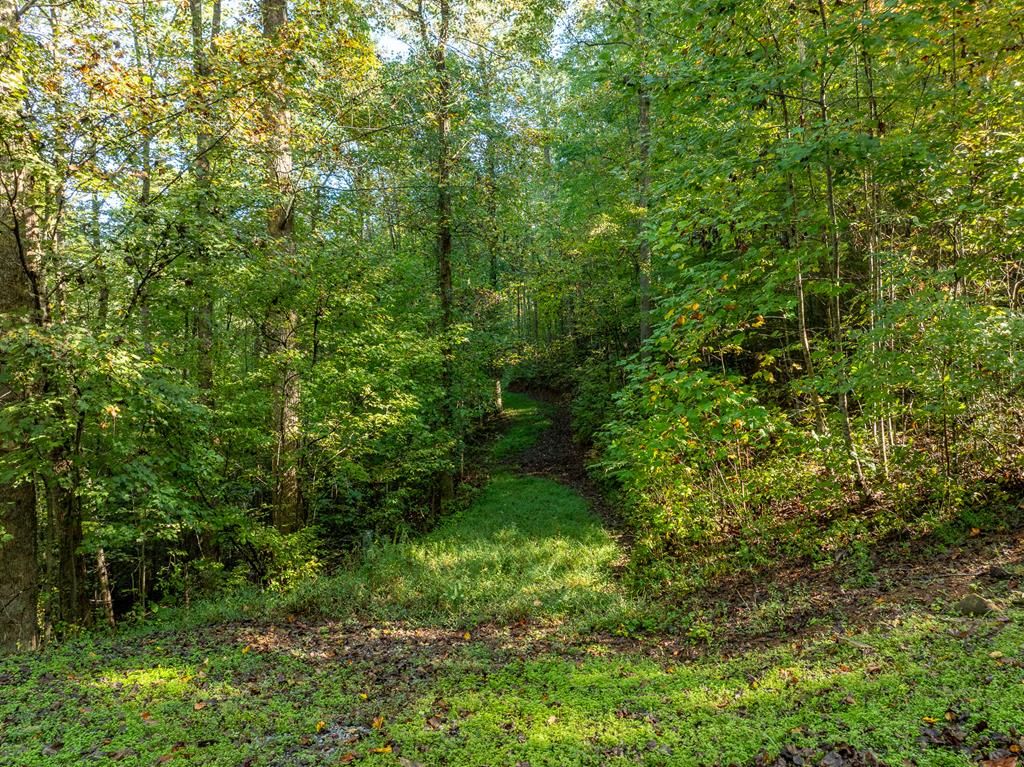 Lot 18 Wilderness Way Property Photo 8