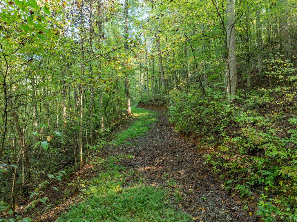 Lot 18 Wilderness Way Property Photo 9
