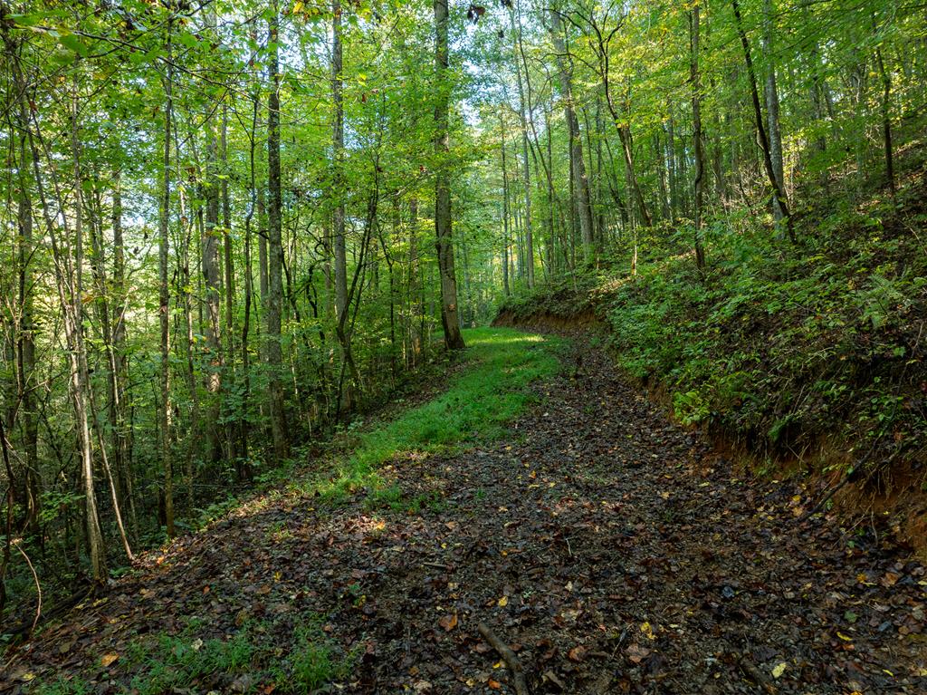 Lot 18 Wilderness Way Property Photo 11
