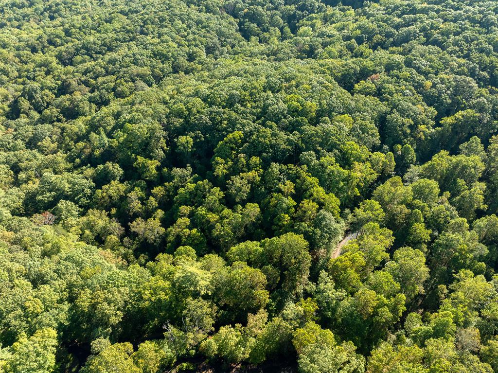 Lot 18 Wilderness Way Property Photo 14