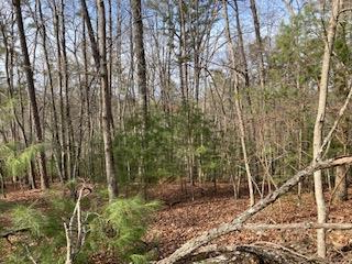 Lt 1032 Eagle Court Property Photo