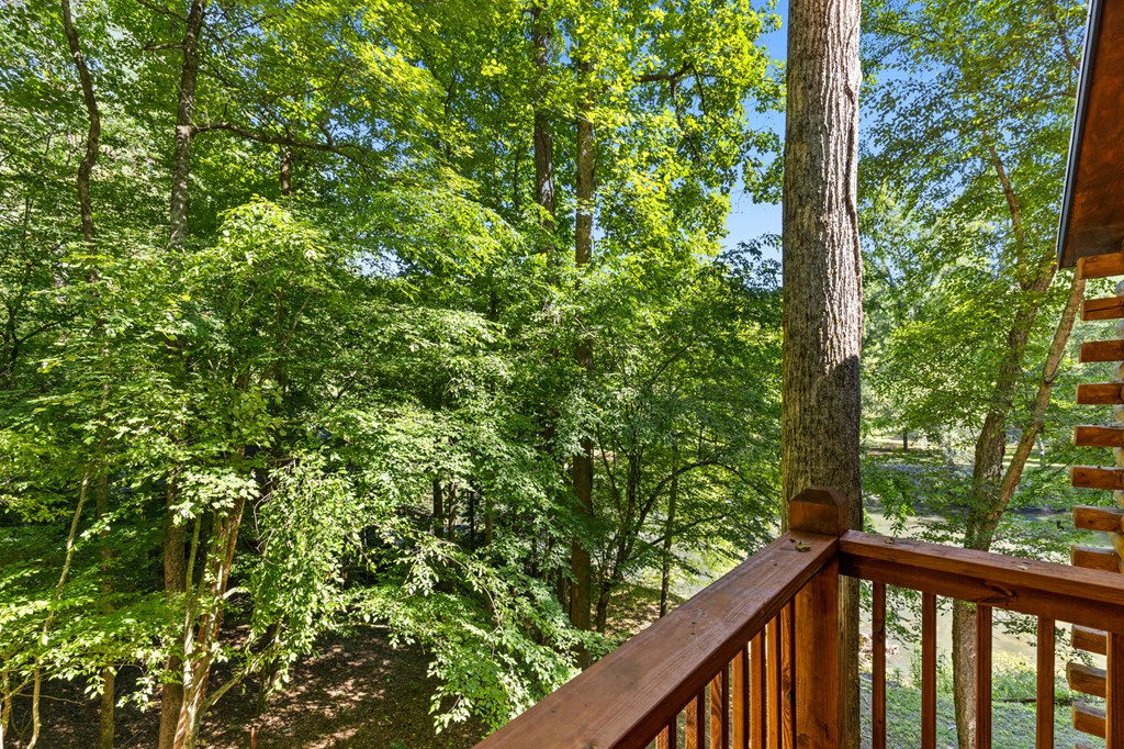 353 Cherokee Trail Property Photo 24