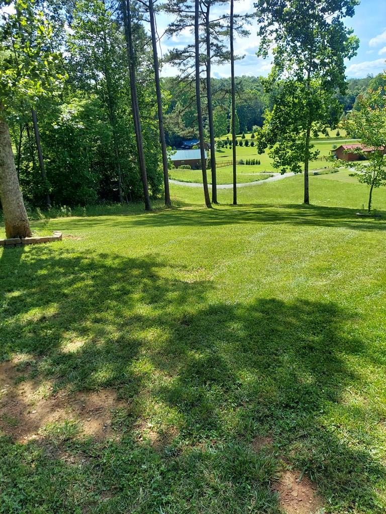 90 Hickory Woods Trail Property Photo 6
