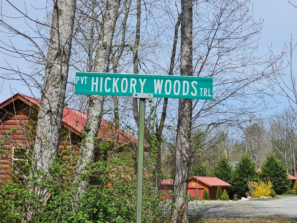 90 Hickory Woods Trail Property Photo 29