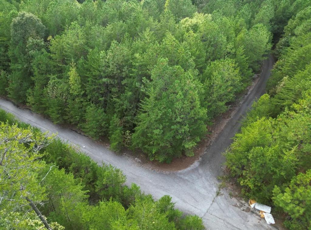 53 Skyline Drive Property Photo