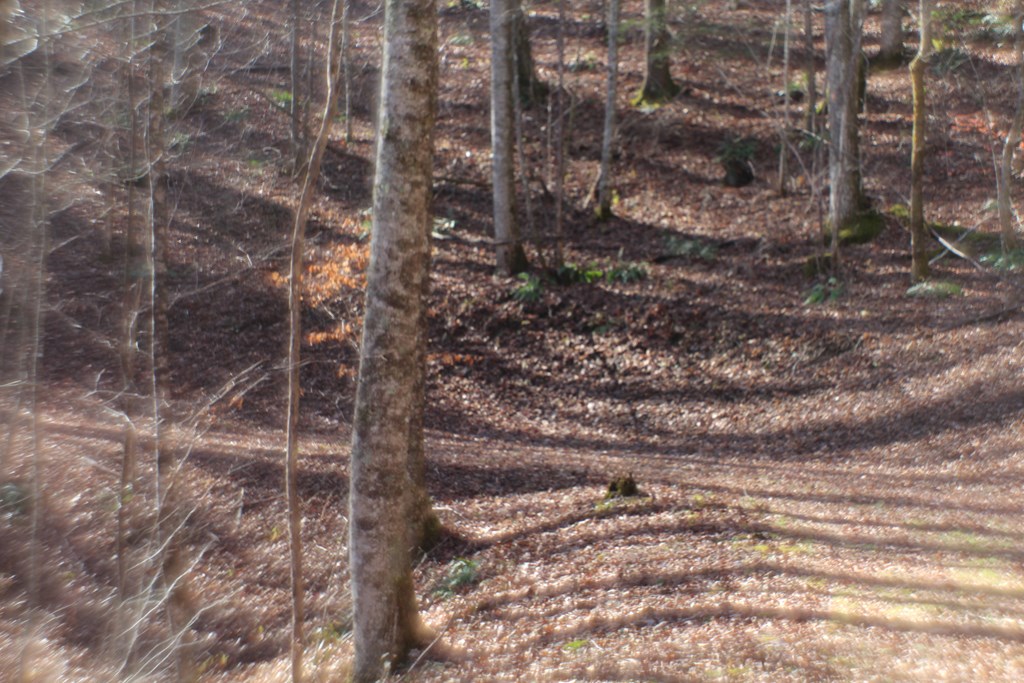 Tract B Highland Cove Property Photo 15