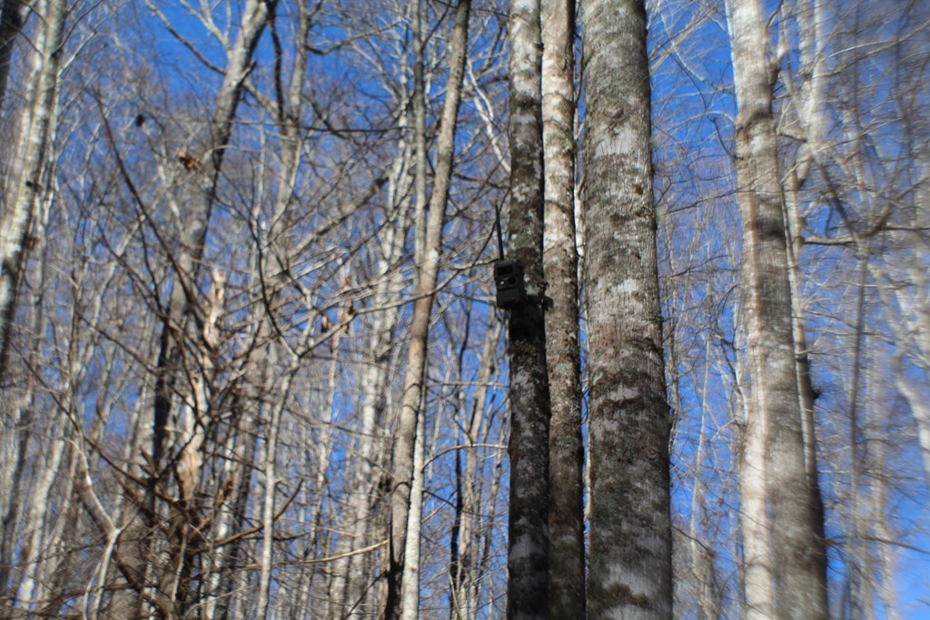 Tract B Highland Cove Property Photo 18
