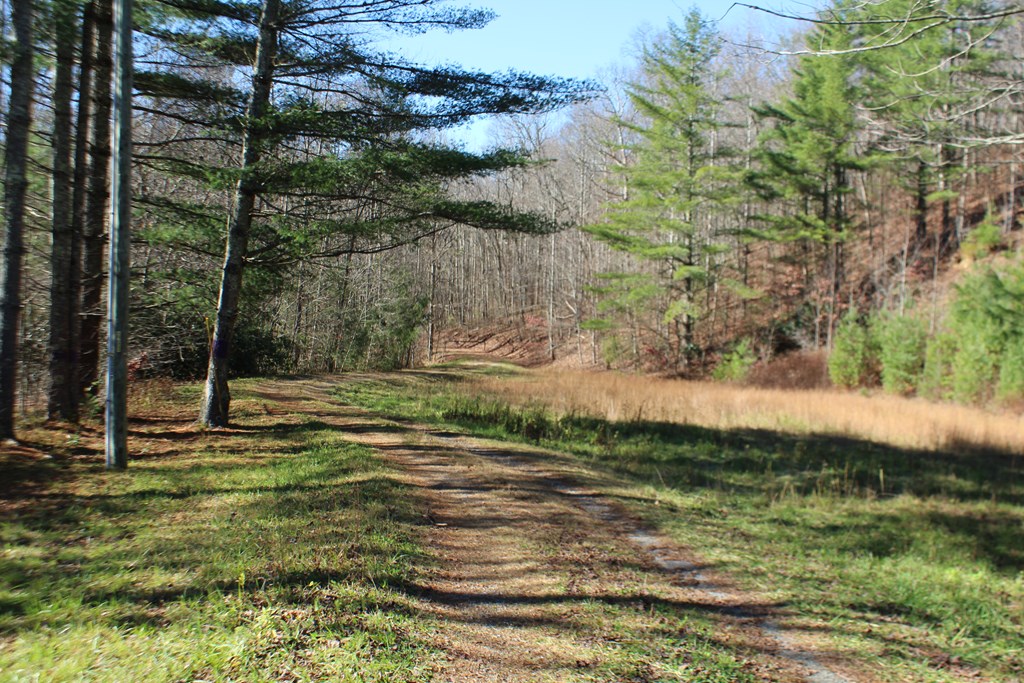 Tract B Highland Cove Property Photo 19
