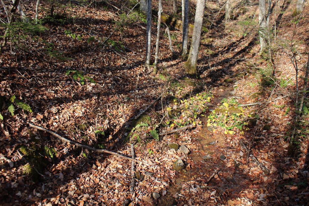 Tract B Highland Cove Property Photo 27