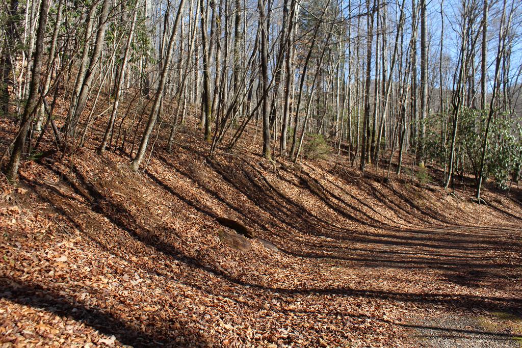 Tract B Highland Cove Property Photo 29