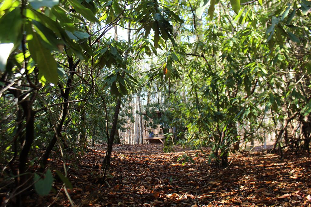 Tract B Highland Cove Property Photo 34