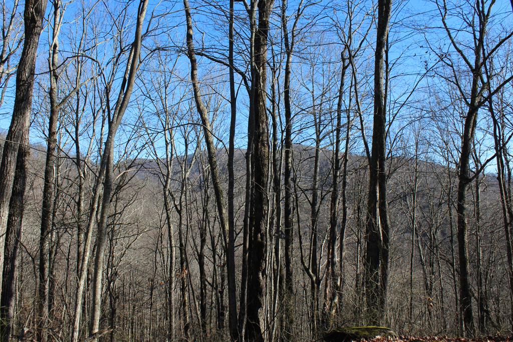 Tract B Highland Cove Property Photo 35