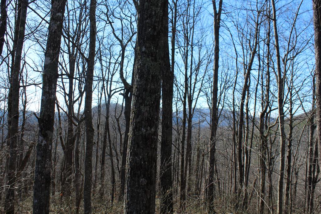 Tract B Highland Cove Property Photo 37
