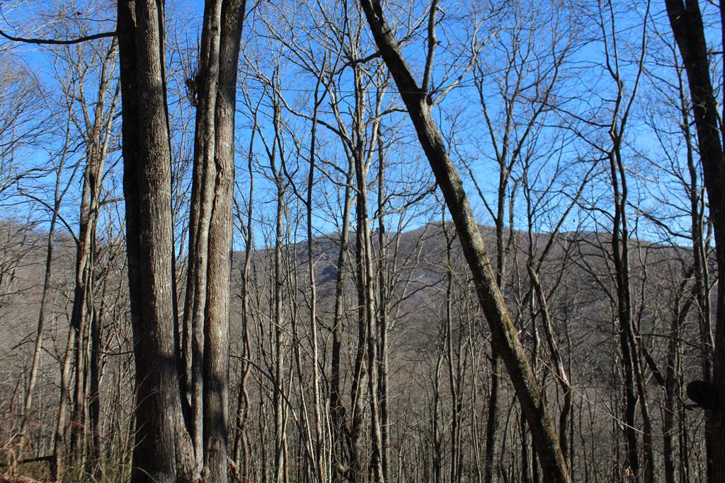 Tract B Highland Cove Property Photo 43