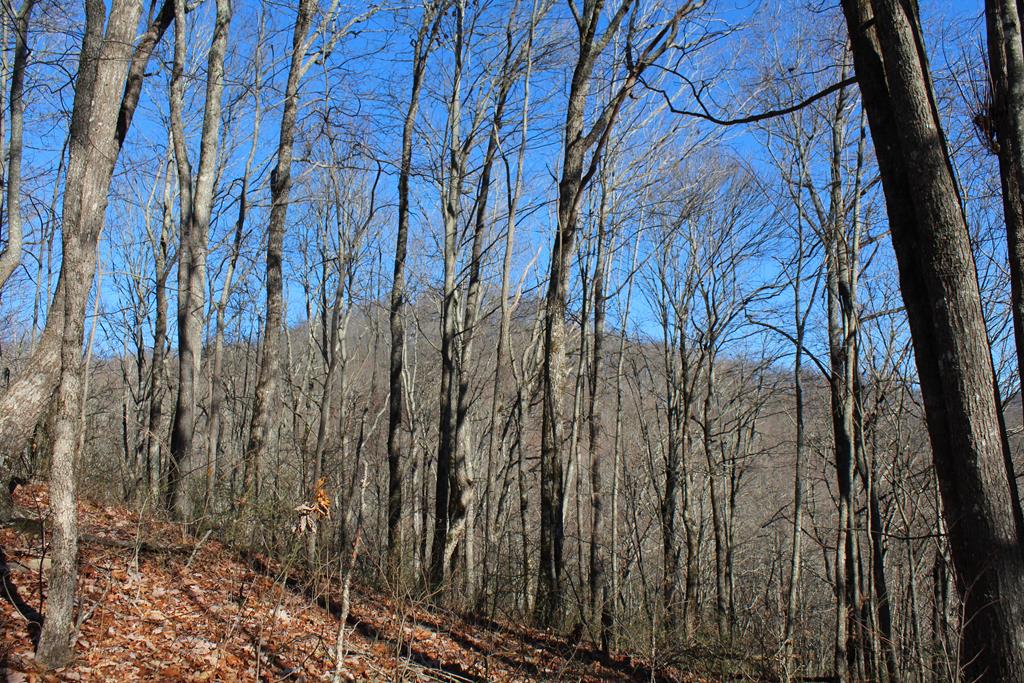 Tract B Highland Cove Property Photo 44