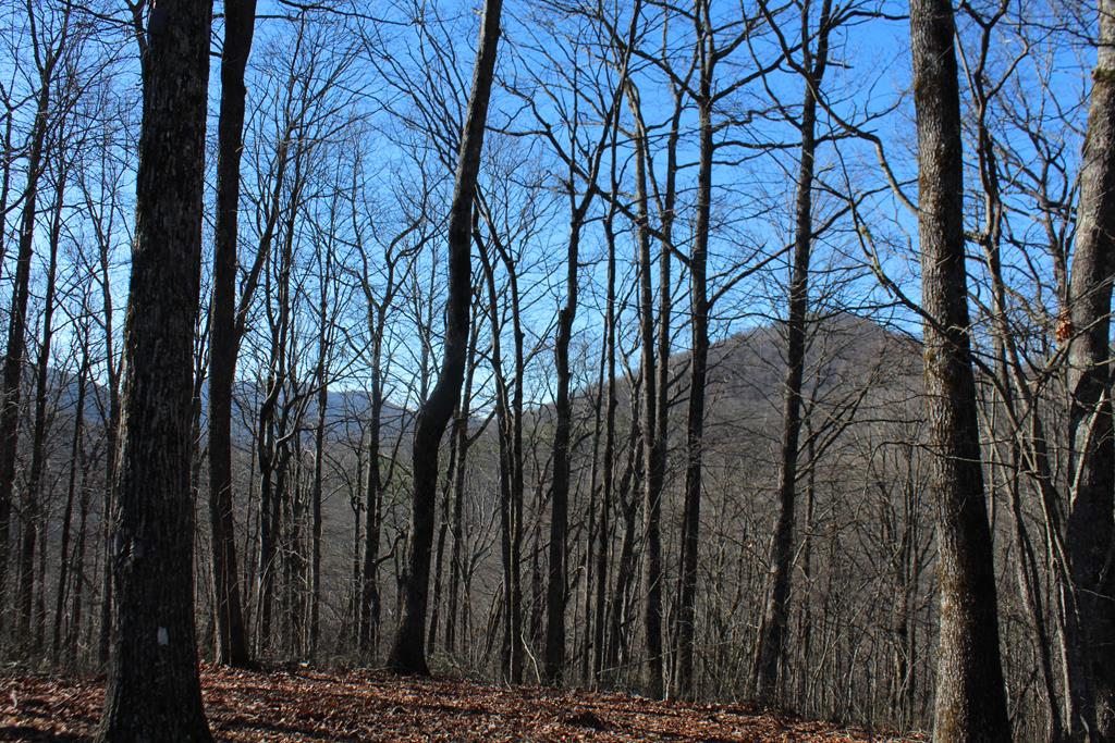 Tract B Highland Cove Property Photo 45
