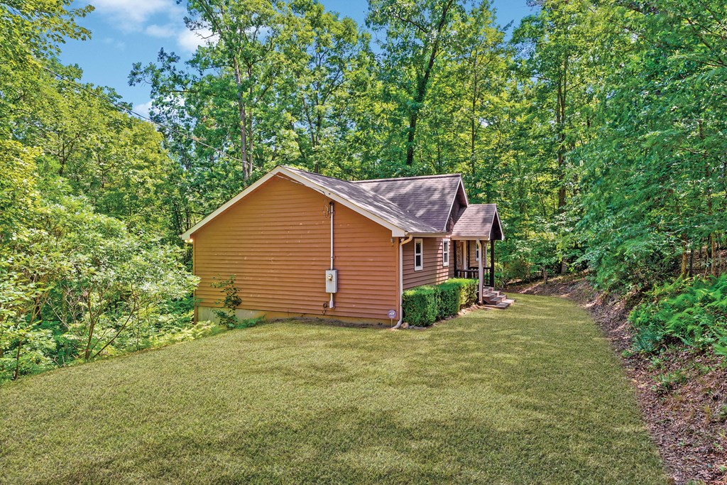 337 Branch Creek Road Property Photo 14