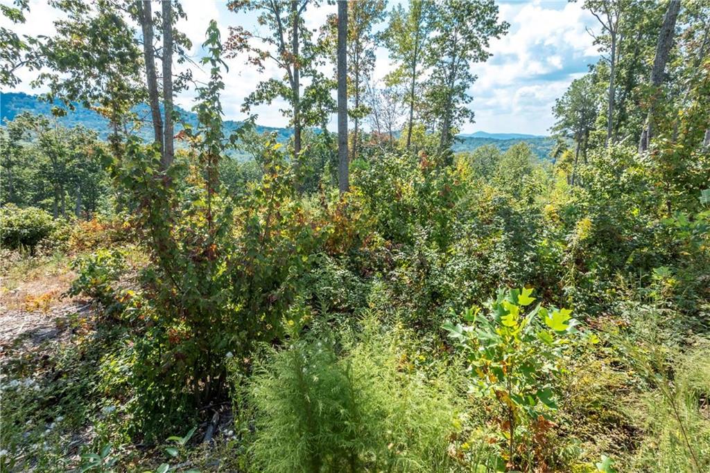 0 Highgrove Drive Property Photo