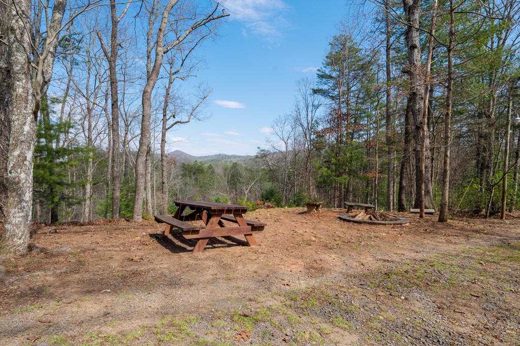1164 Dividing Ridge Road Property Photo 36