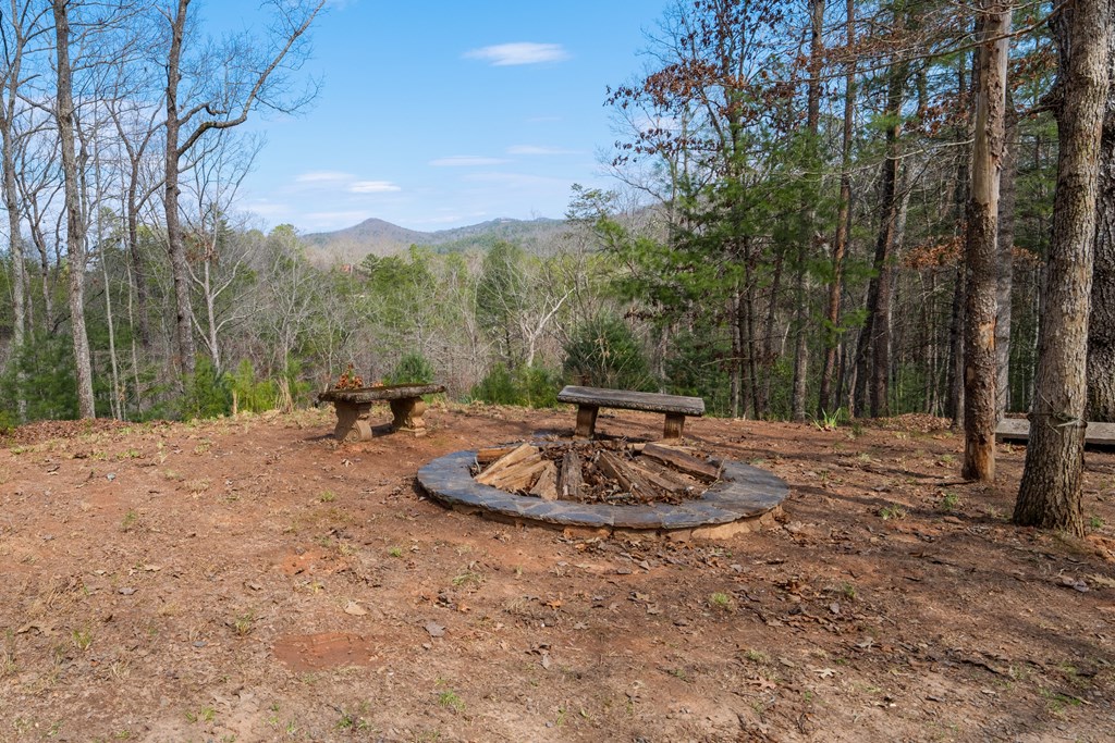 1164 Dividing Ridge Road Property Photo 37