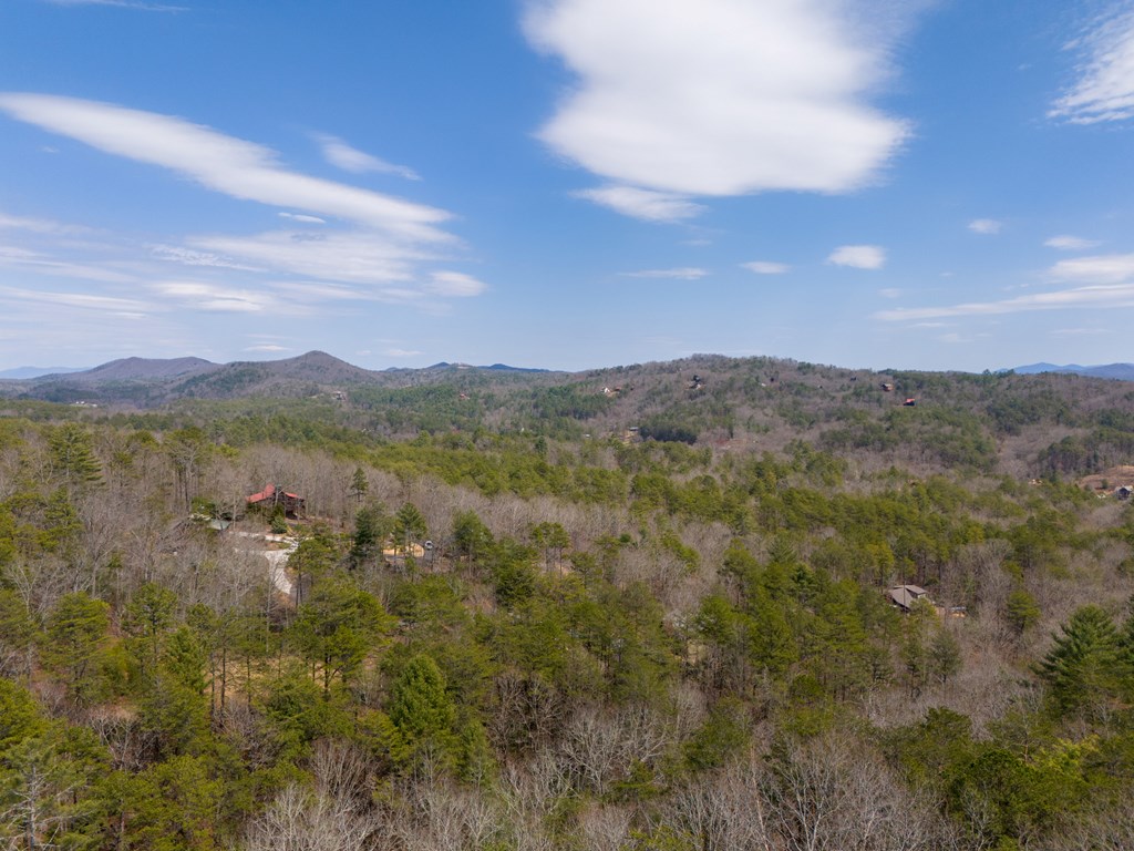 1164 Dividing Ridge Road Property Photo 38