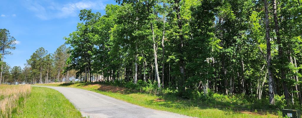 71 Lt High River Crossing Property Photo 1
