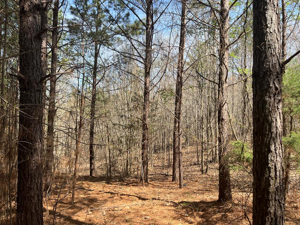 16 Unbridled Road Property Photo