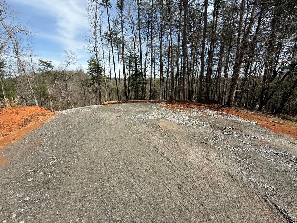 00 Limber Lost Trail Property Photo