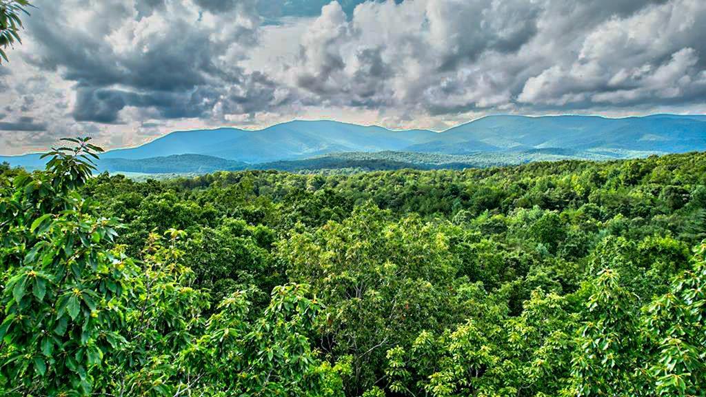 0 Mt Mt Mcgruder Rd- 48.26 Acres Property Photo