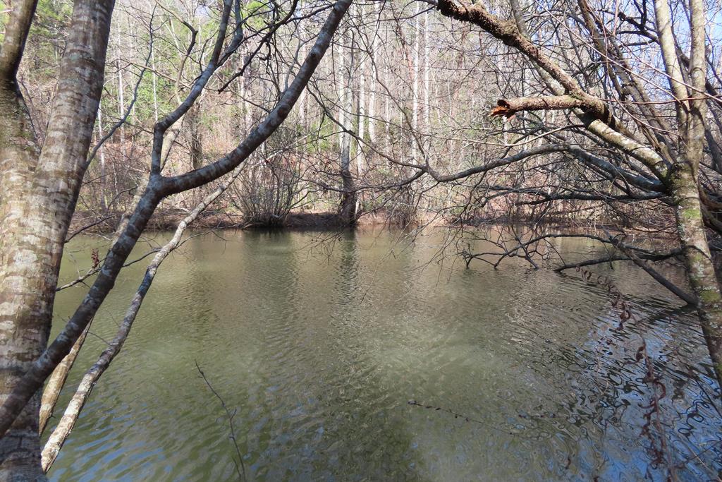 0 Blazing Star Road Property Photo