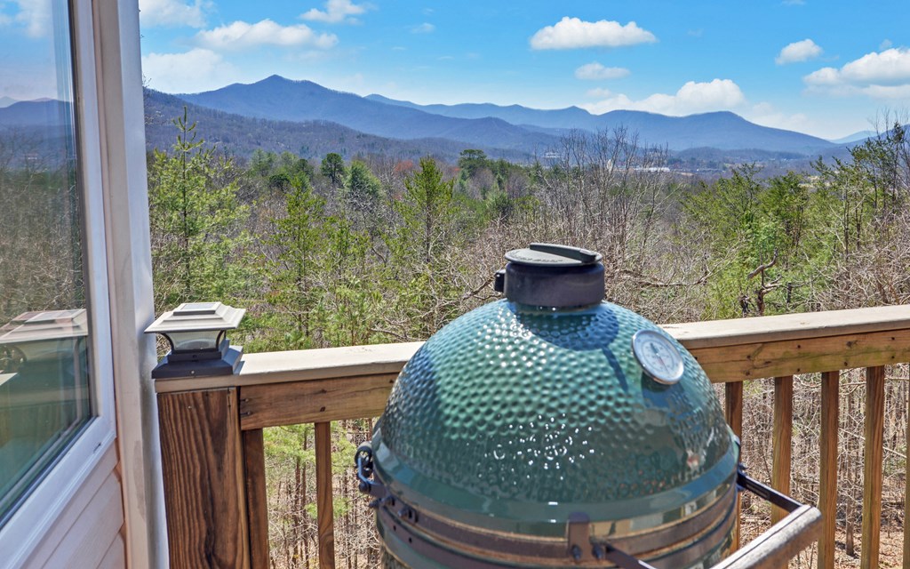 773 Crooked Creek Connector Property Photo 25