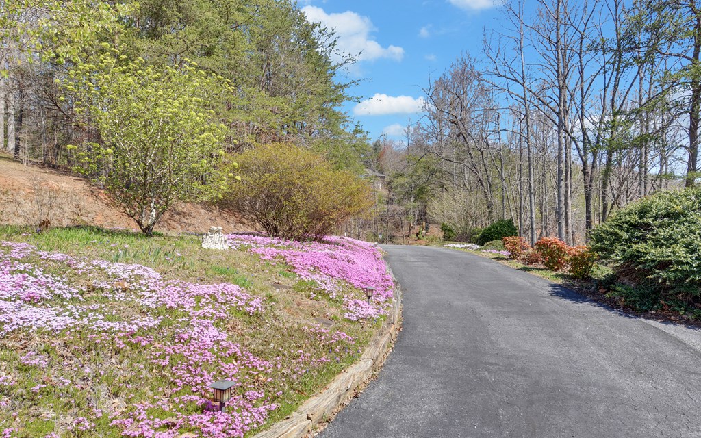 773 Crooked Creek Connector Property Photo 42