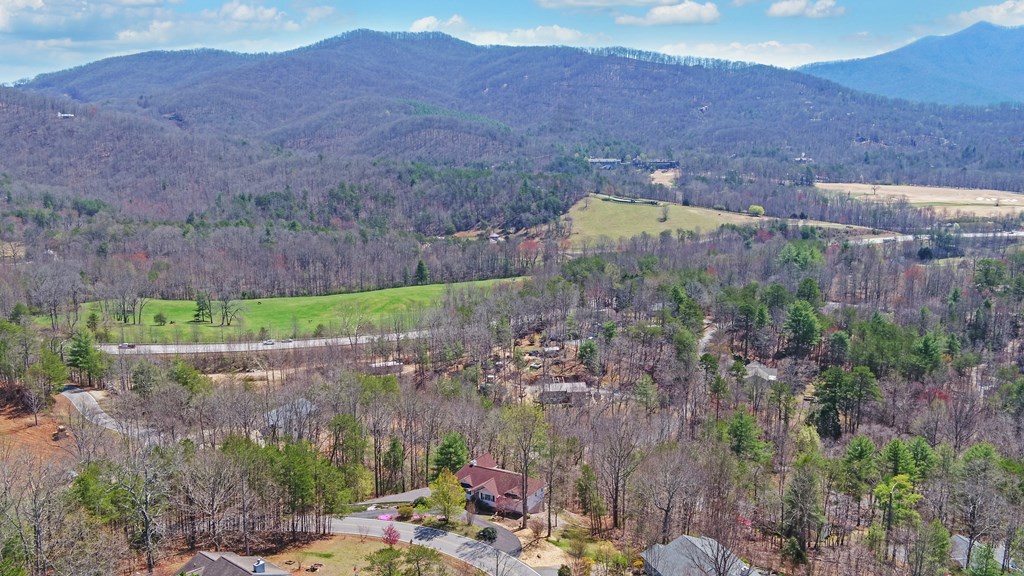 773 Crooked Creek Connector Property Photo 44