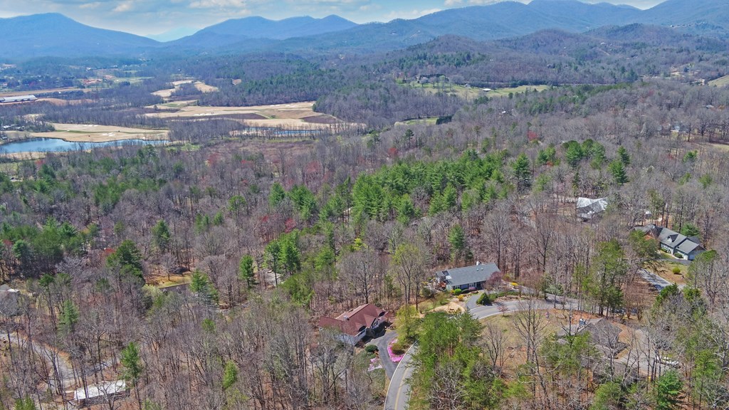 773 Crooked Creek Connector Property Photo 46
