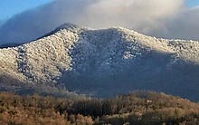 773 Crooked Creek Connector Property Photo 52