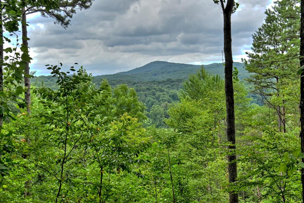 Lot 4 Hemptown Overlook Property Photo