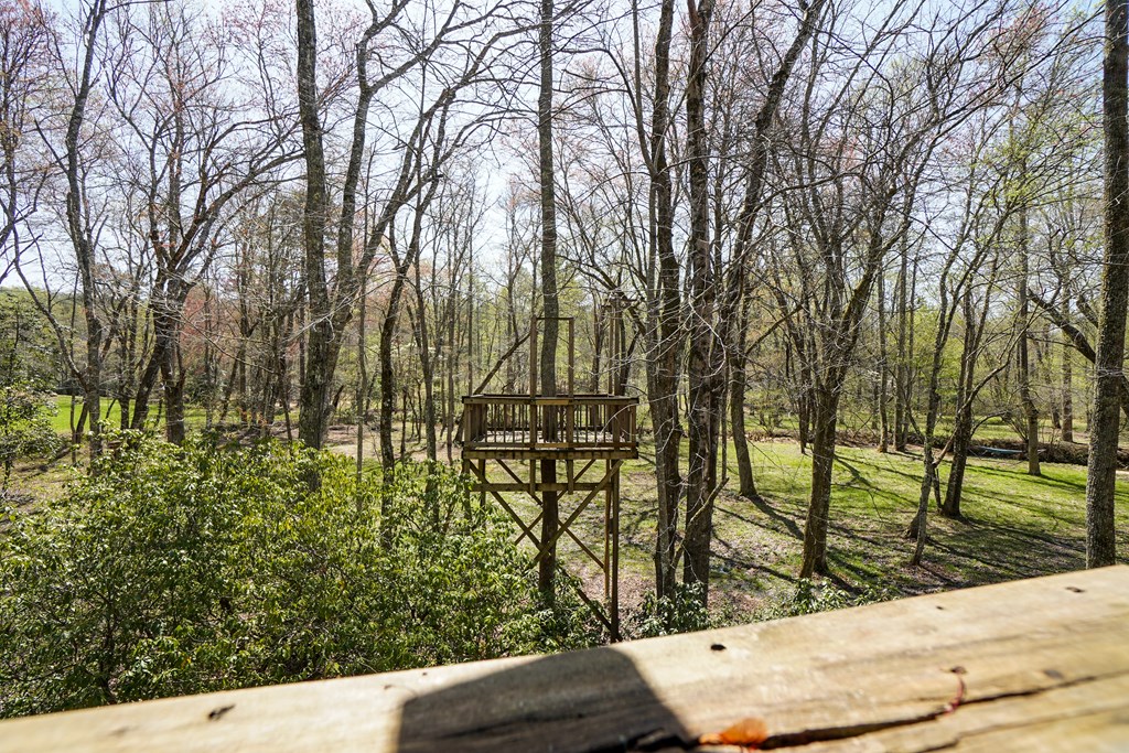 136 Honeybell Lane Property Photo 49