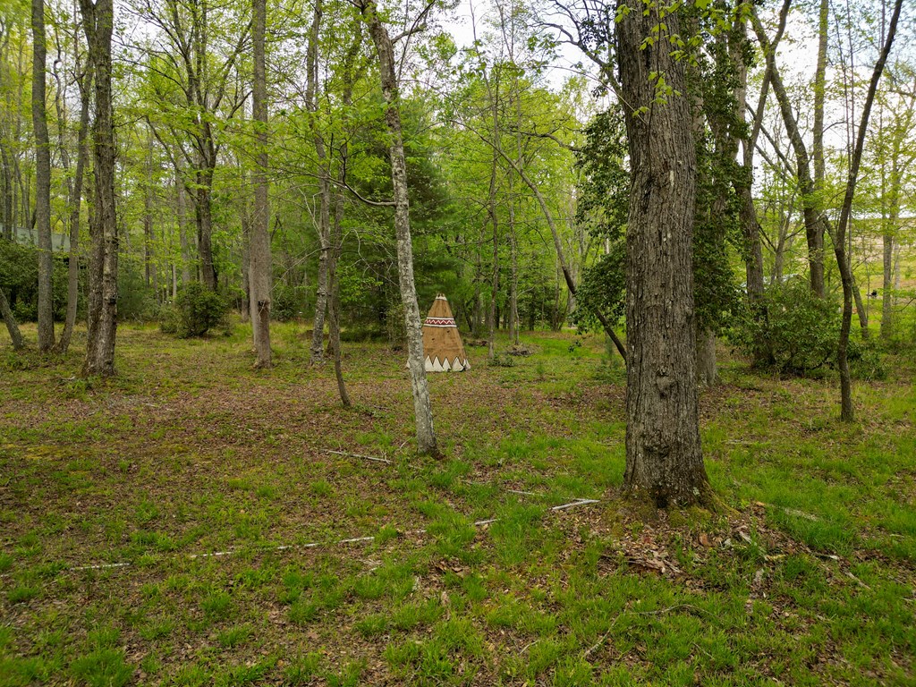 136 Honeybell Lane Property Photo 93