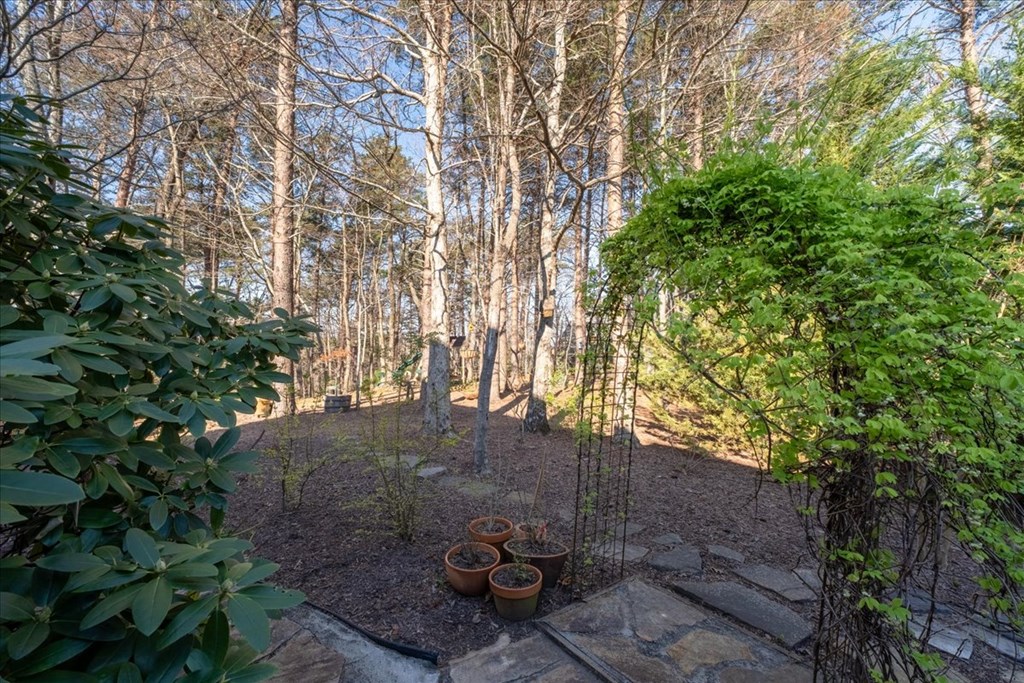 270 Mosswood Lane Property Photo 64