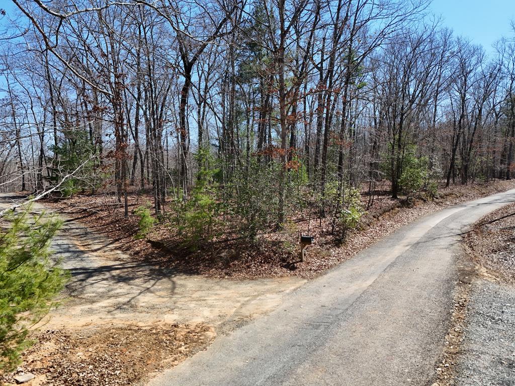 Lot 3 Robert Miller Lane Property Photo