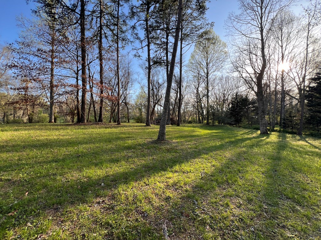 Lot 2 Preserve Road Property Photo 7