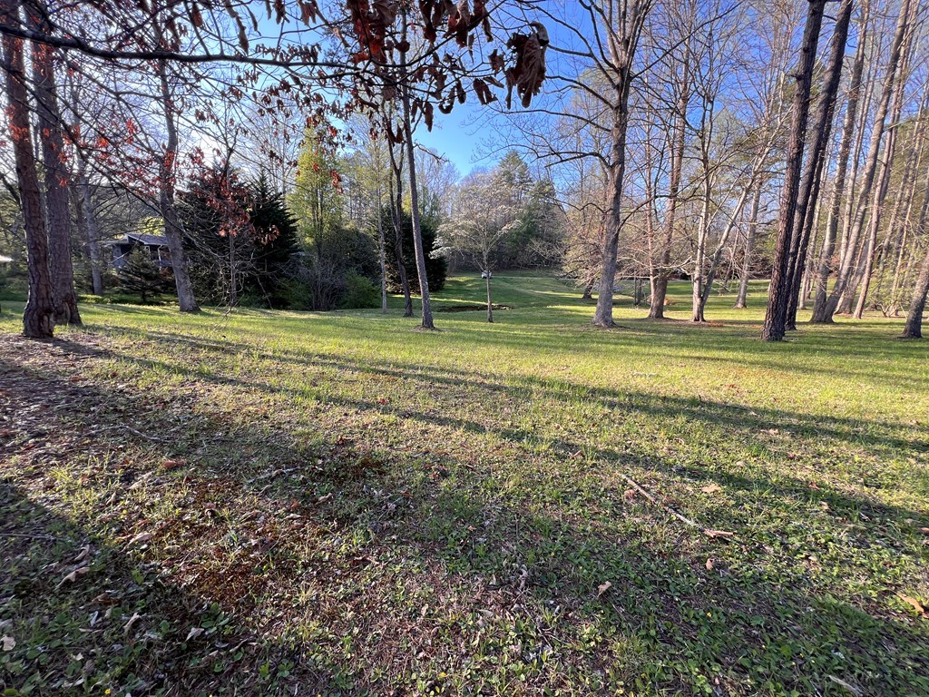 Lot 2 Preserve Road Property Photo 11