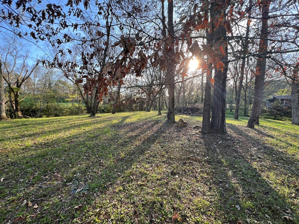 Lot 2 Preserve Road Property Photo 13