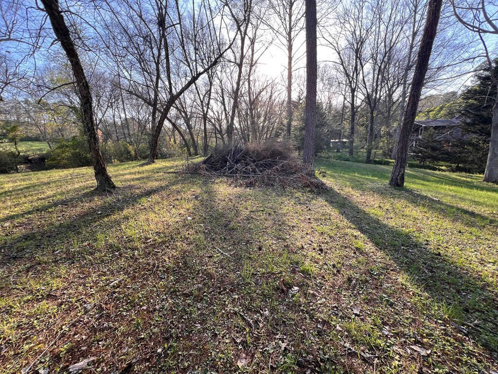 Lot 2 Preserve Road Property Photo 19