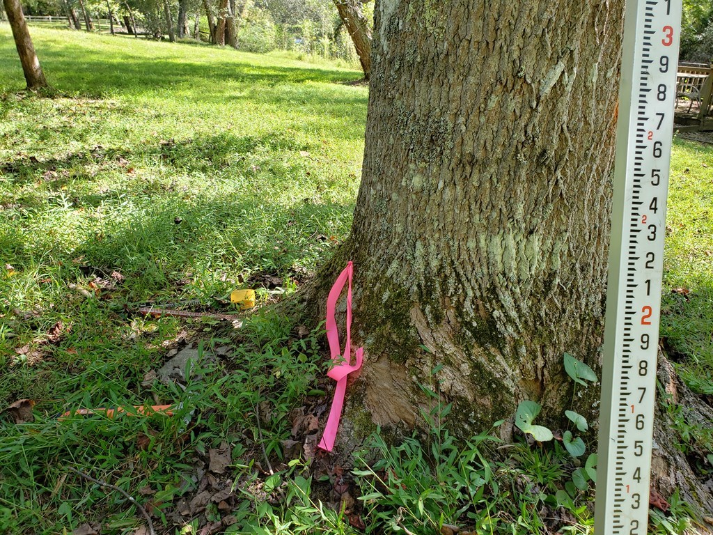 Lot 2 Preserve Road Property Photo 22