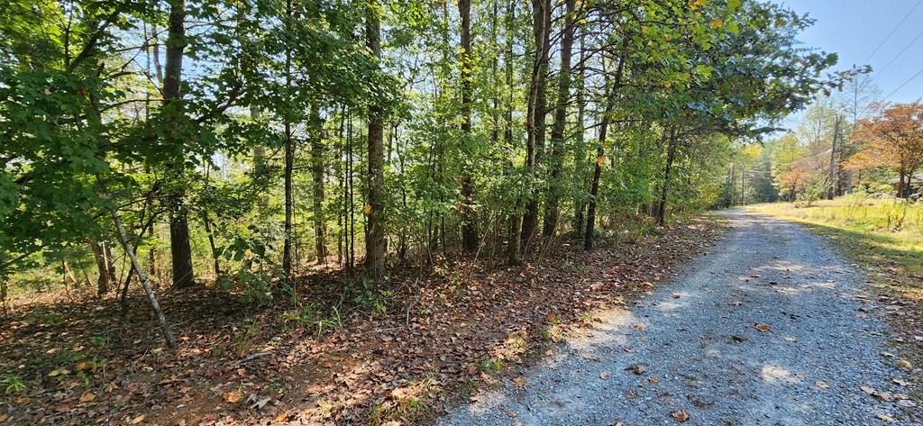 Lot 1699 Shade Tree Drive Property Photo