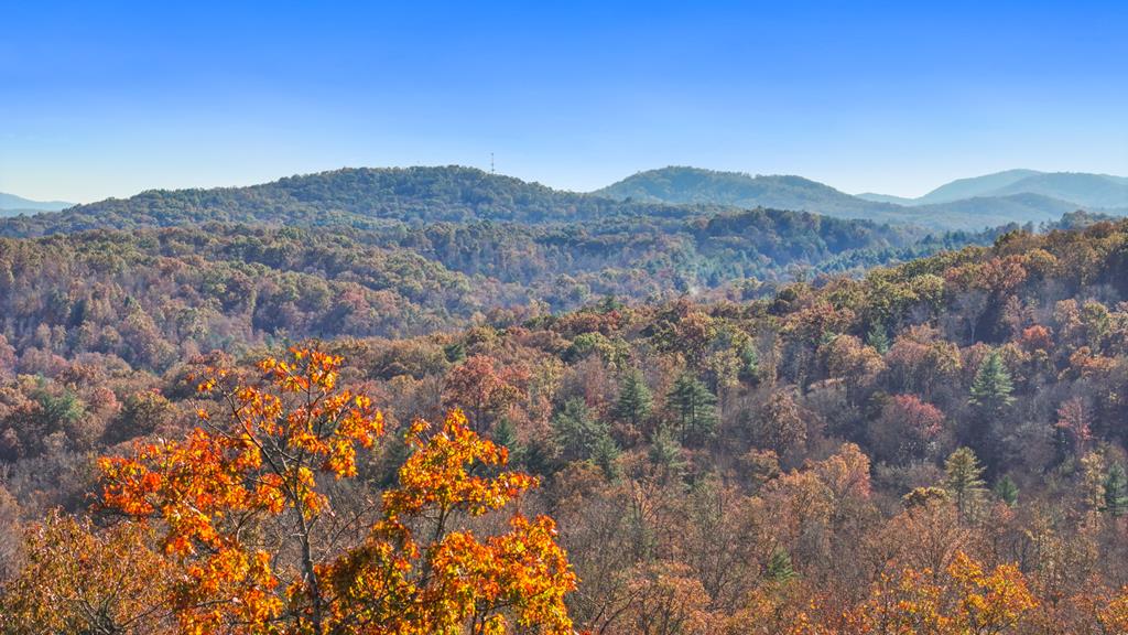 Hidden Acres Real Estate Listings Main Image
